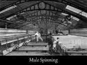 048-spinning baines